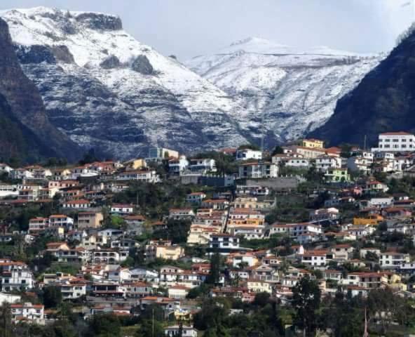 فيلا The Hill View House فونشال المظهر الخارجي الصورة