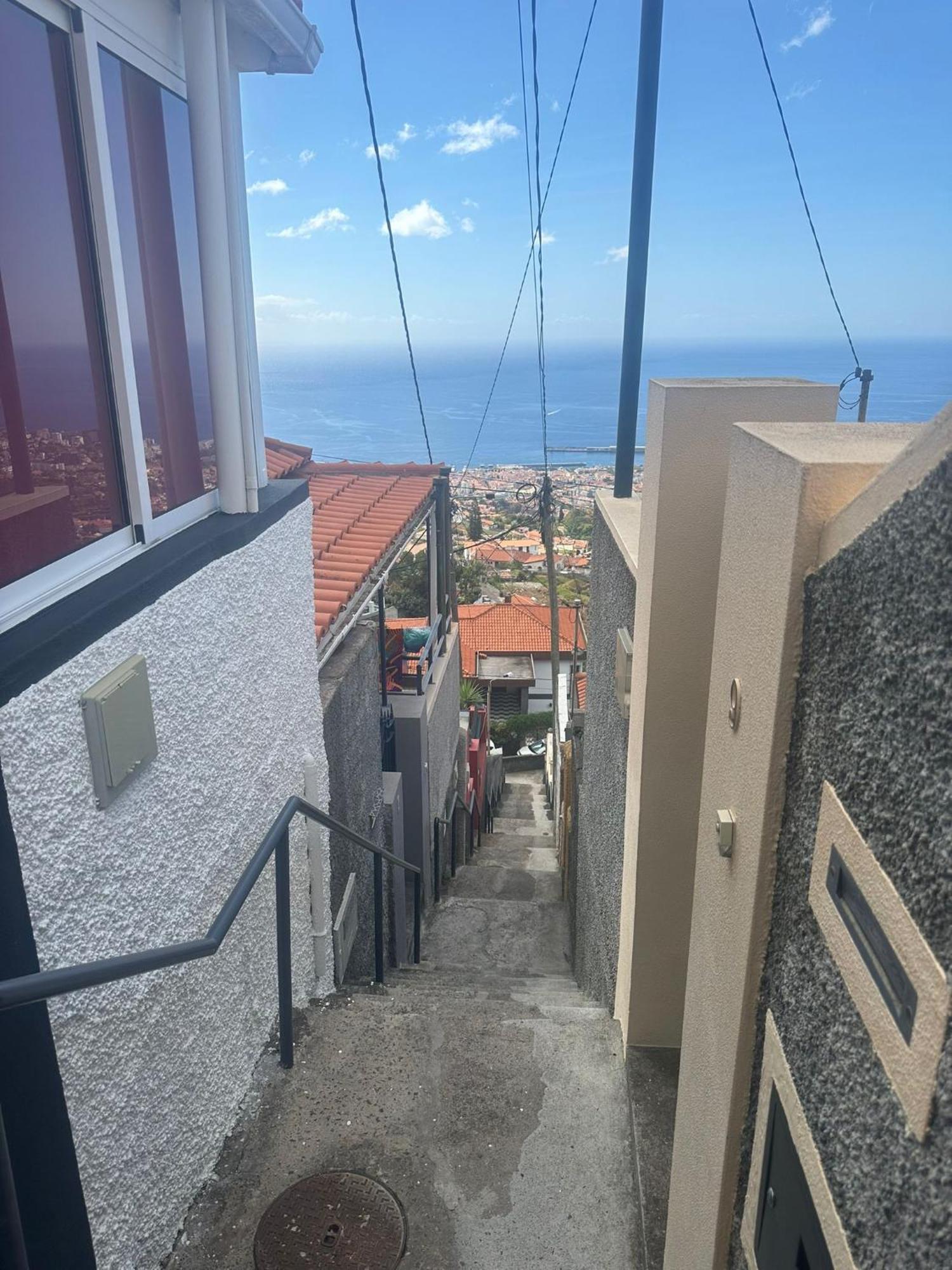 فيلا The Hill View House فونشال المظهر الخارجي الصورة